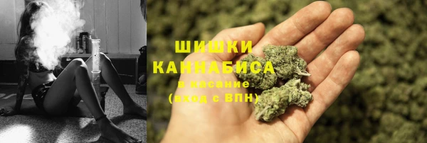 прущие грибы Арсеньев