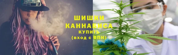 прущие грибы Арсеньев