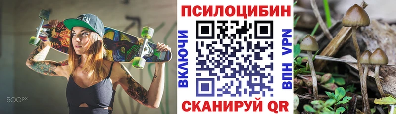 Псилоцибиновые грибы мухоморы  Орлов 